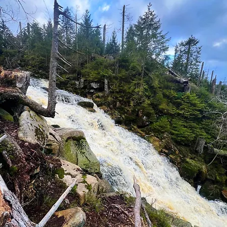 Bergliebe - Erholsamer Urlaub Im Herzen Des Harzes *